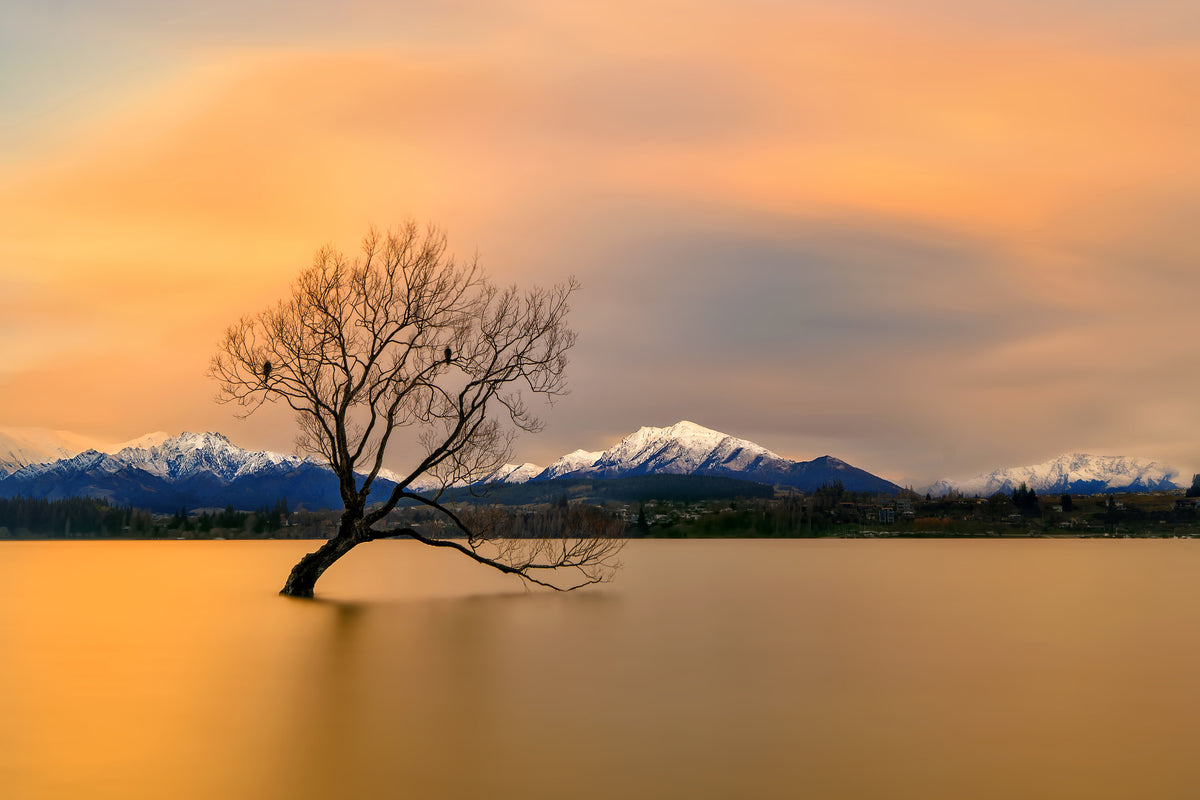 framedcanvas-print-morning-glow-of-the-lake-wanaka