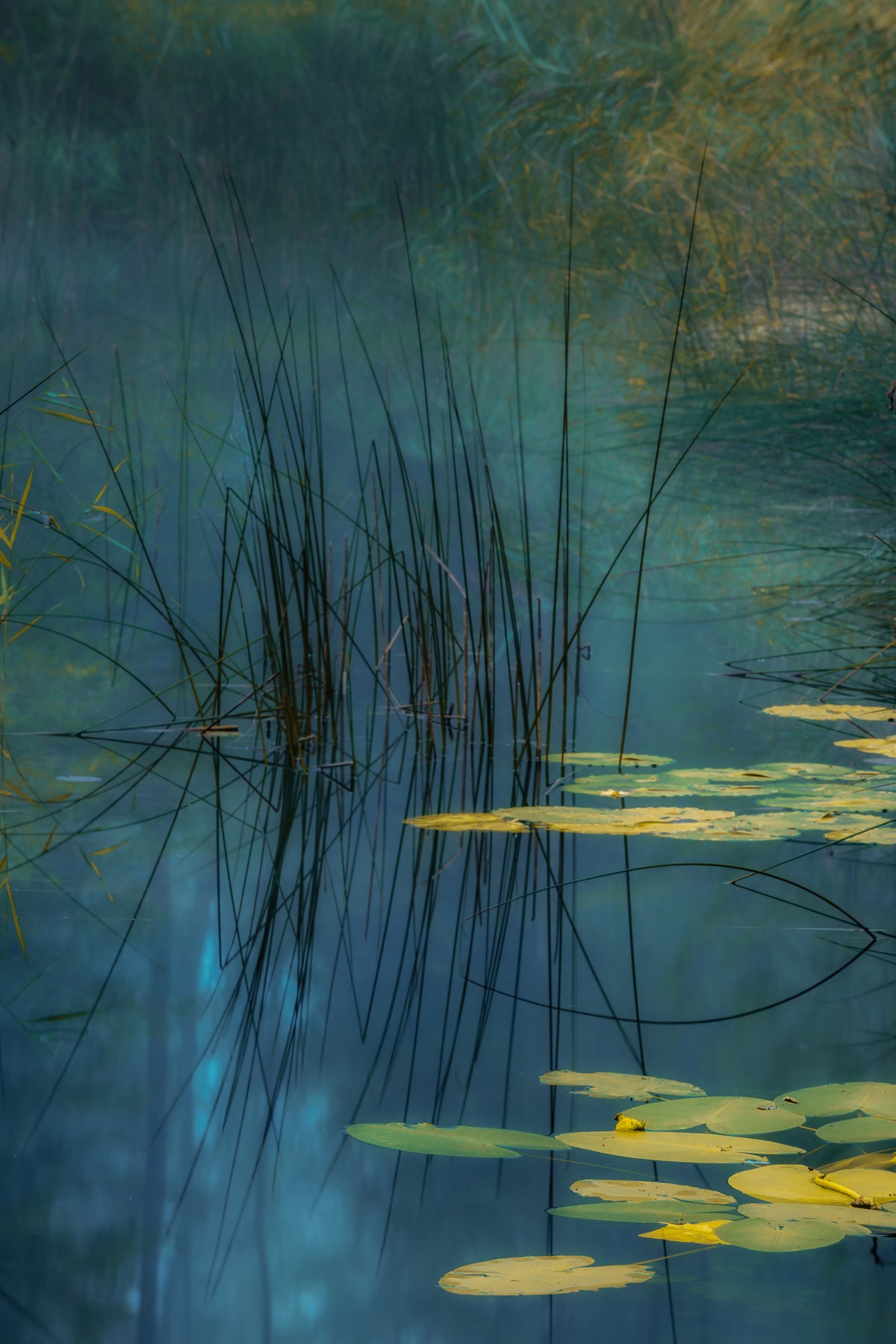 framedcanvas-print-aqua