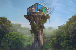framedcanvas-print-house-in-the-sky