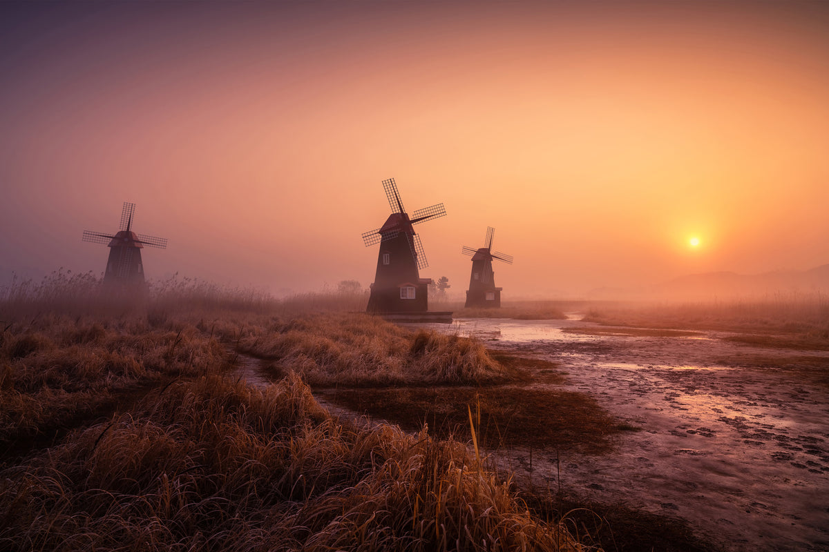 aluminium-print-foggy-morning-xji