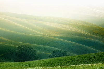 poster-print-tuscany