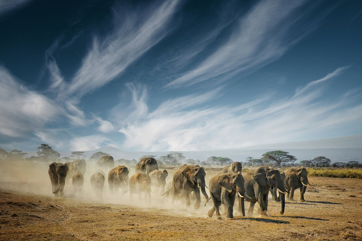 canvas-print-a-very-long-thinking