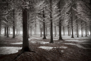 3-piece-aluminium-print-the-onset-of-winter