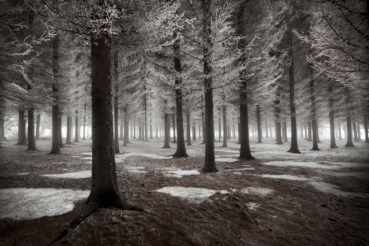 3-piece-aluminium-print-the-onset-of-winter