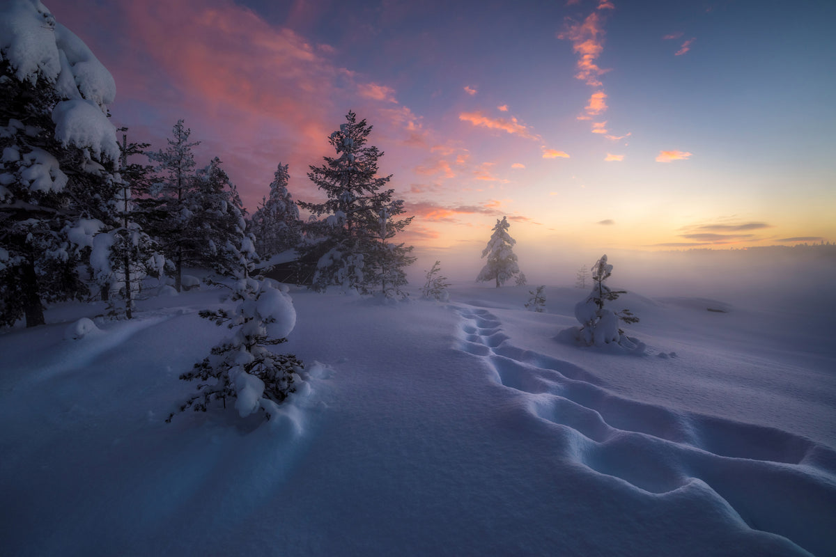canvas-print-winter-steps-x
