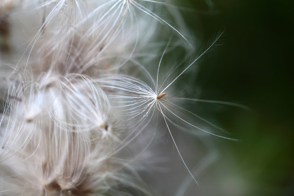 modern-3-piece-canvas-print-close-up-flowers-fibers
