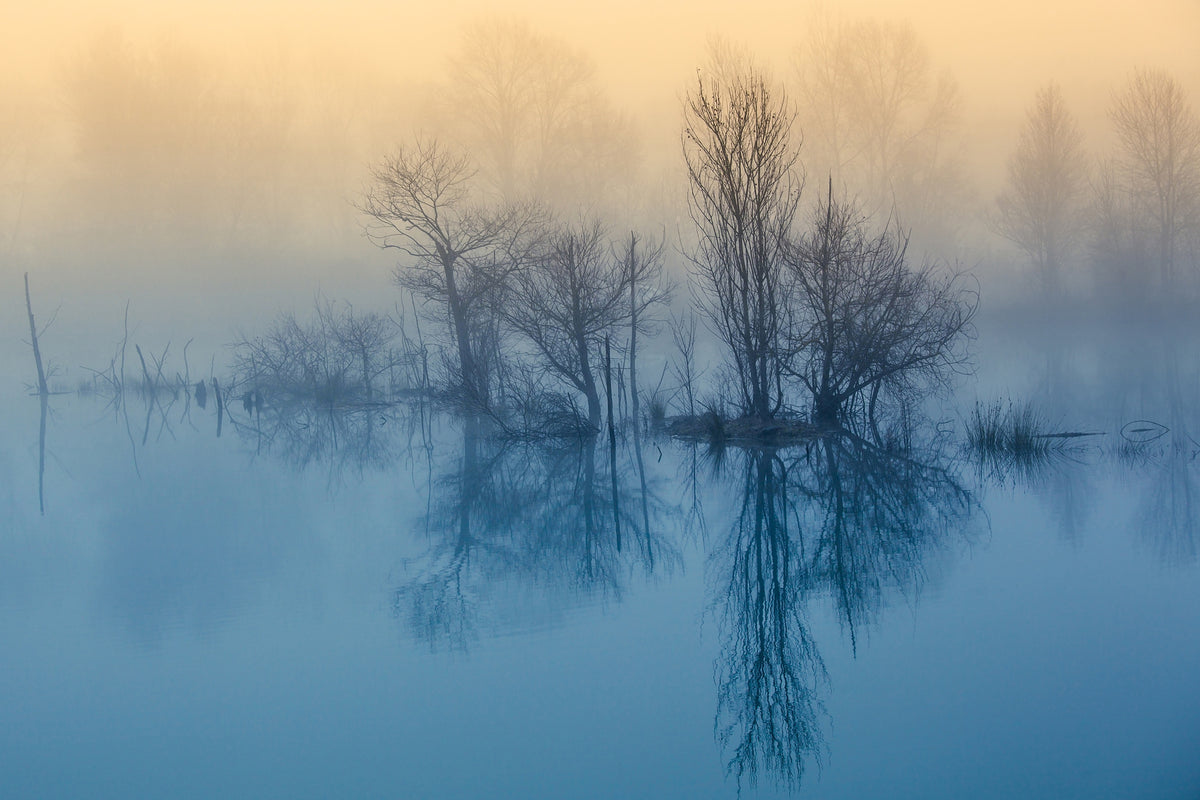 framedposter-print-morning-reflection-ii
