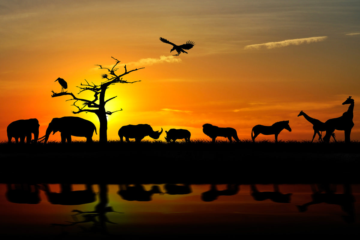 3-piece-aluminium-print-safari-animals-at-sunset