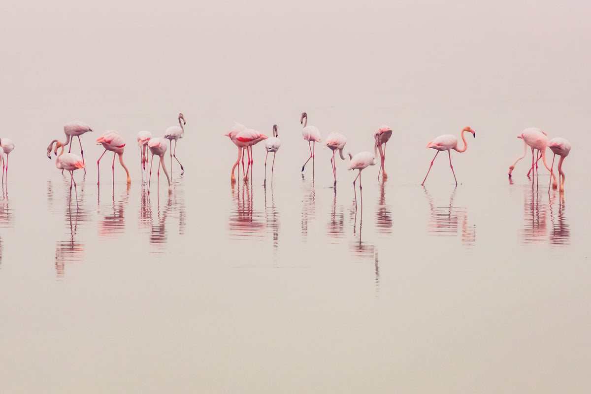 acrylic-print-water-ballet-x
