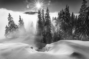 aluminium-print-a-winter-tale