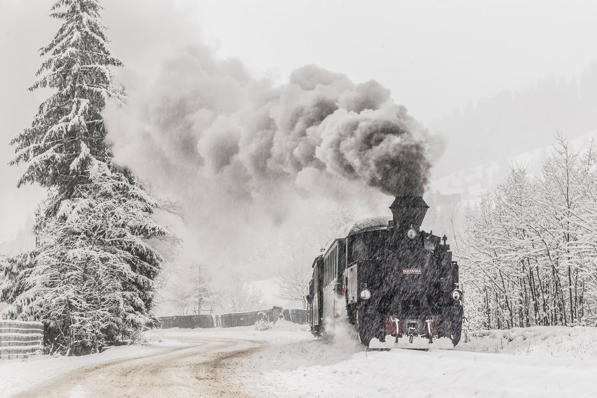 aluminium-print-winter-story-x