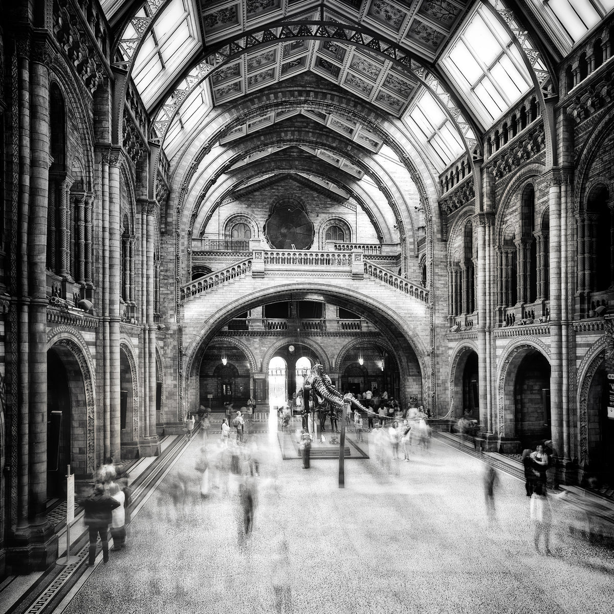 acrylic-print-natural-history-museum-of-london-x