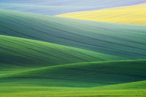 canvas-print-lines