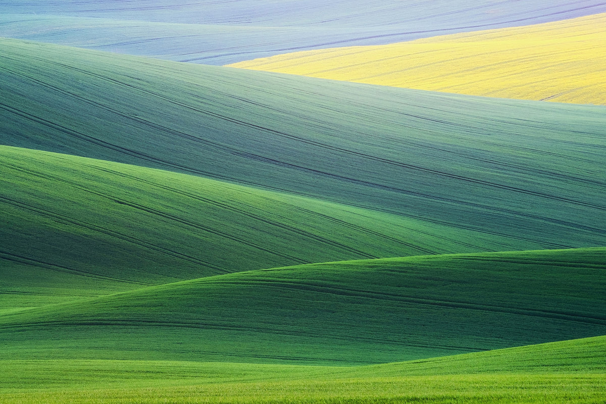 canvas-print-lines