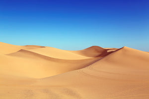 canvas-print-beauty-desert