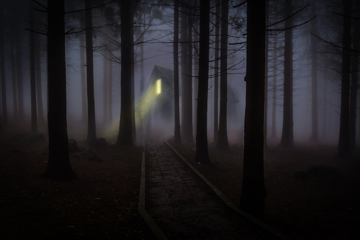 poster-print-fog-in-the-forest