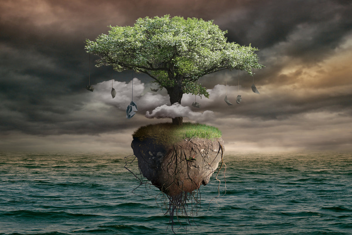 3-piece-canvas-print-lonely-tree