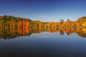 canvas-print-autumn-ii