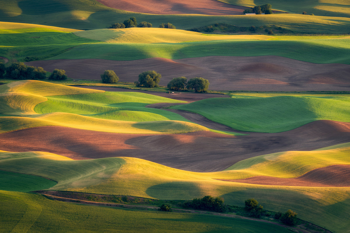 aluminium-print-colorful-palouse-x