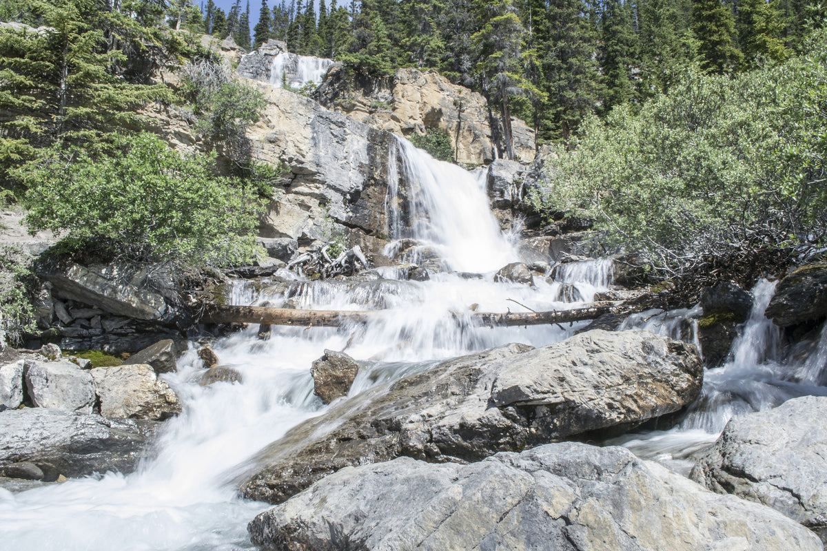 aluminium-print-wild-waterfall-in-the-forest