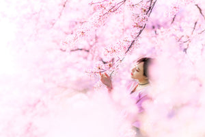 aluminium-print-sakura
