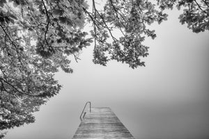 acrylic-print-the-sound-of-silence-x