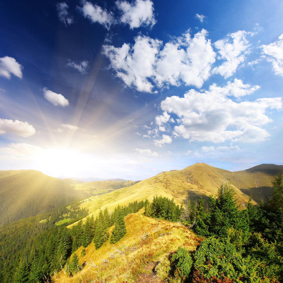 canvas-print-sunrise-in-the-mountains