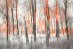 3-piece-aluminium-print-evening-light