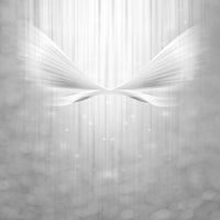 4-piece-acrylic-print-angel-wings