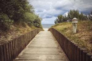 framedposter-print-the-dunes-way