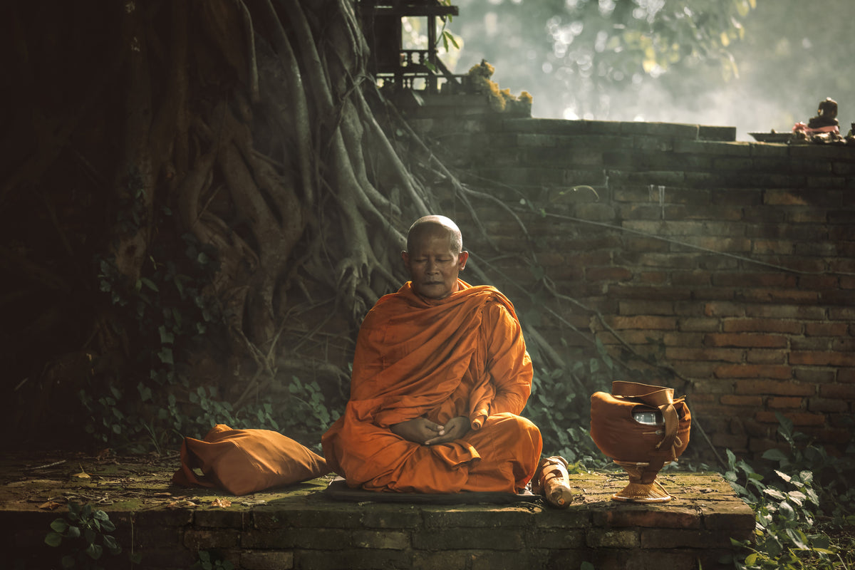 framedcanvas-print-no-xvii