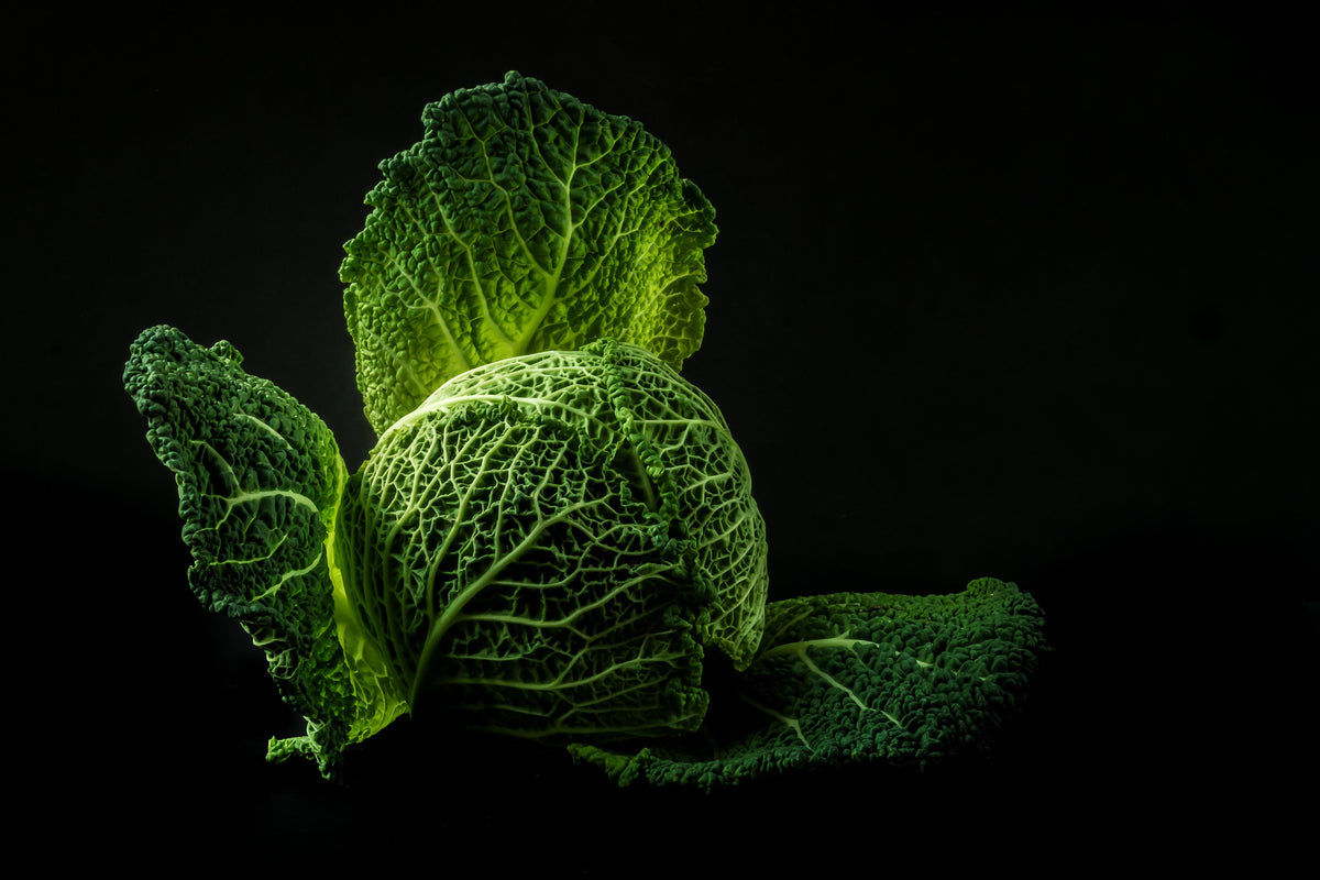 modern-3-piece-canvas-print-the-cabbage