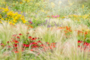 aluminium-print-summer-reverie-x