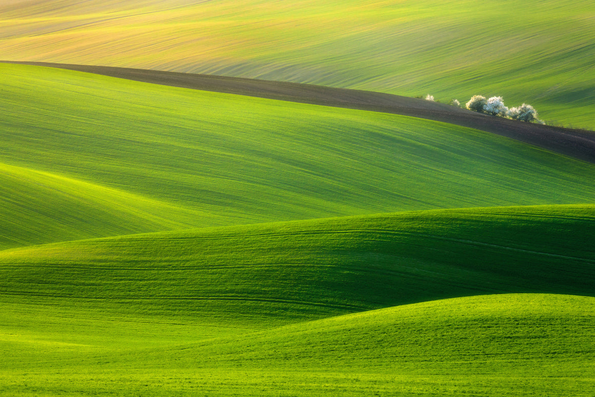 poster-print-spring-time-x