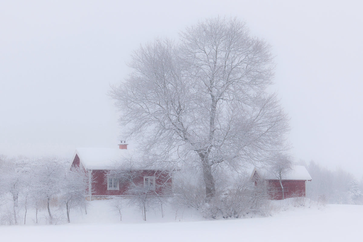 canvas-print-winter-idyll-x