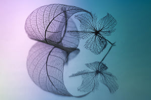 modern-3-piece-aluminium-print-story-of-leaf-and-flower