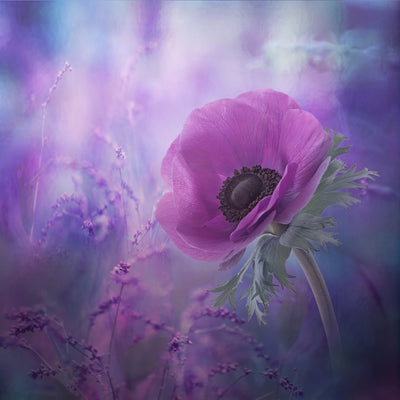 poster-print-ecstasy-x