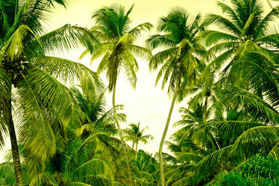 poster-print-mural-ready-for-a-vacation
