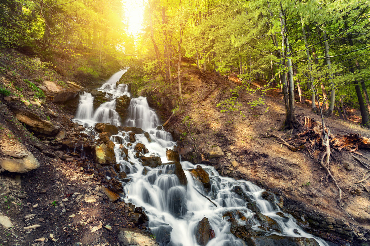 aluminium-print-natural-beauty