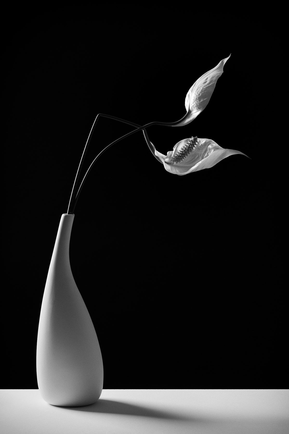 poster-print-passionately-x