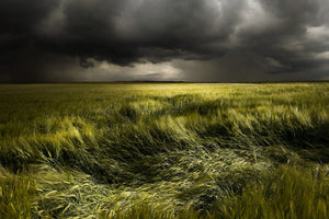 modern-3-piece-canvas-print-summer-weather