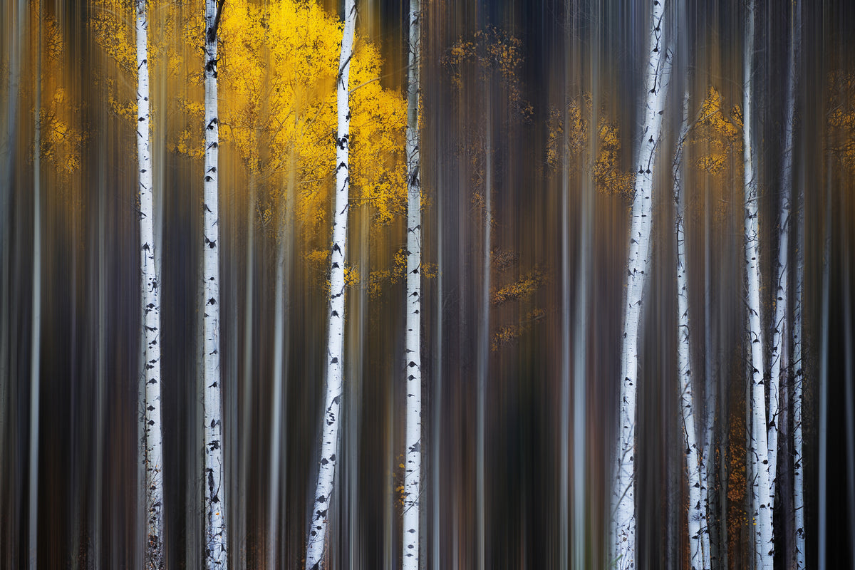 modern-3-piece-aluminium-print-curtain-of-fall