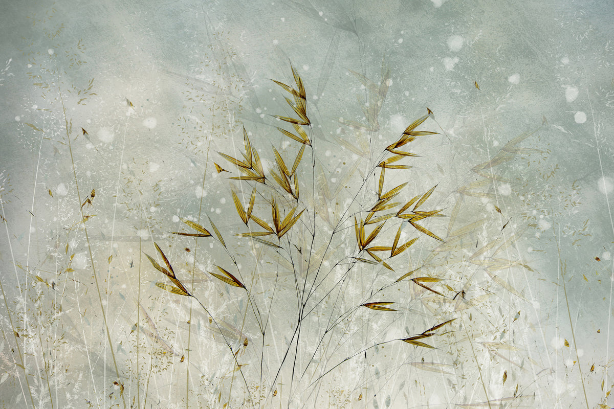 framedcanvas-print-wintertime-x