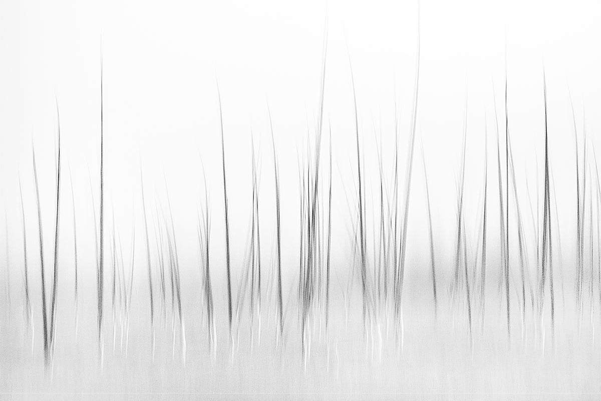 modern-3-piece-aluminium-print-wintry-scenery-in-yellowstone