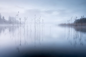 canvas-print-untitled-xsv