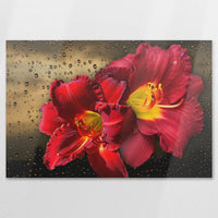 AL-120W080