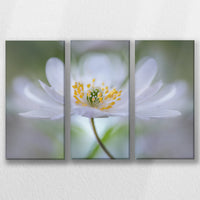 LW-060R040