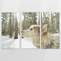 AL-180R120