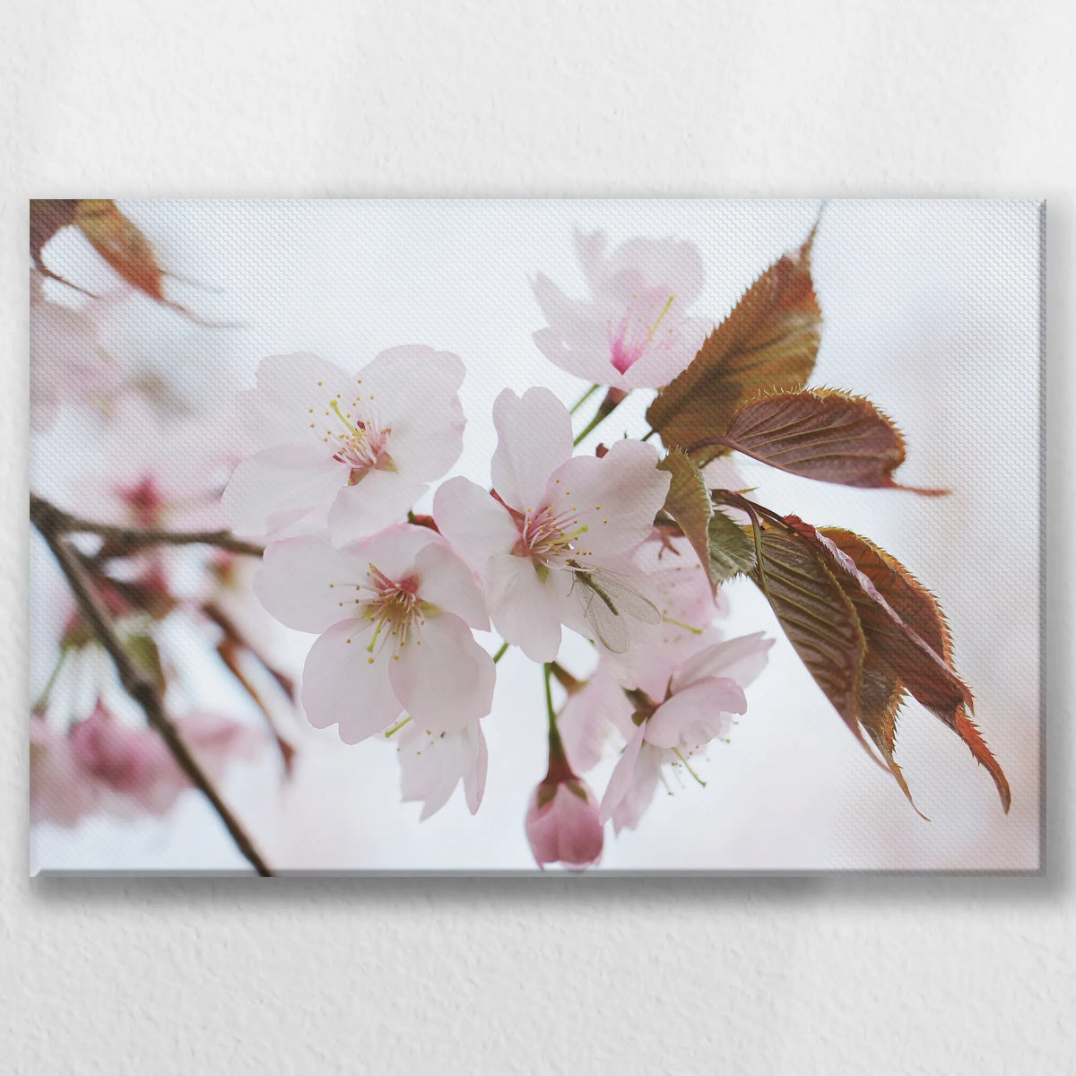 LW-060W040