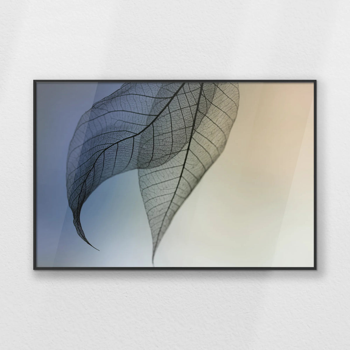 PB-093W062